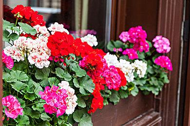 独立游戏《游客》成PS5平台首款8K分辨率作品